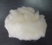 15.5mic/38mm Alashan Cashmere Fibre natural white cashmere fibre white, 15.5mic/38mm Alashan Cashmere Fibre natural white cashmere fibre white