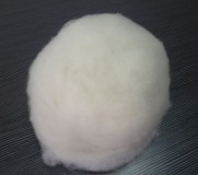 15.5-15.8mic/34mm cashmere fibre white, 15.5-15.8mic/34mm cashmere fibre white