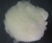 cashmere fibre white, cashmere fibre white