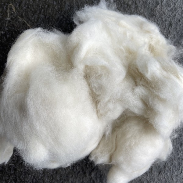 Raccoon Hair Natural White