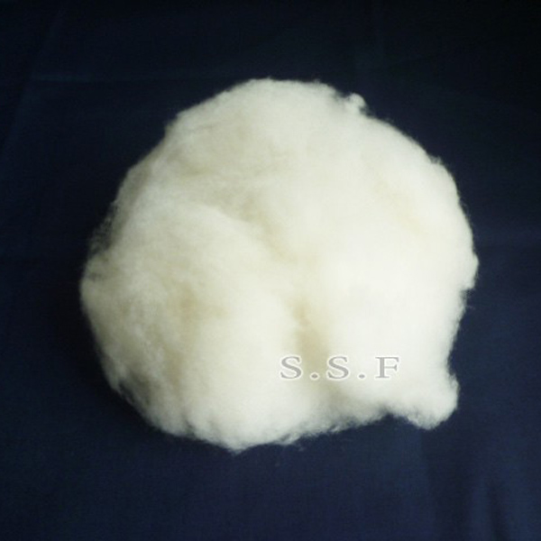 Cashmere White Northeast